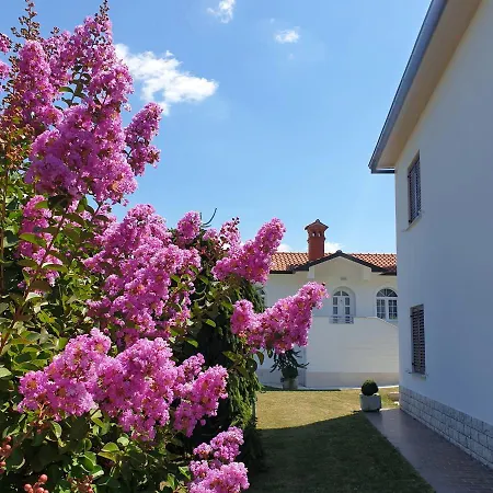 Holiday Apartment Villa Bianca Pazin Exterior photo